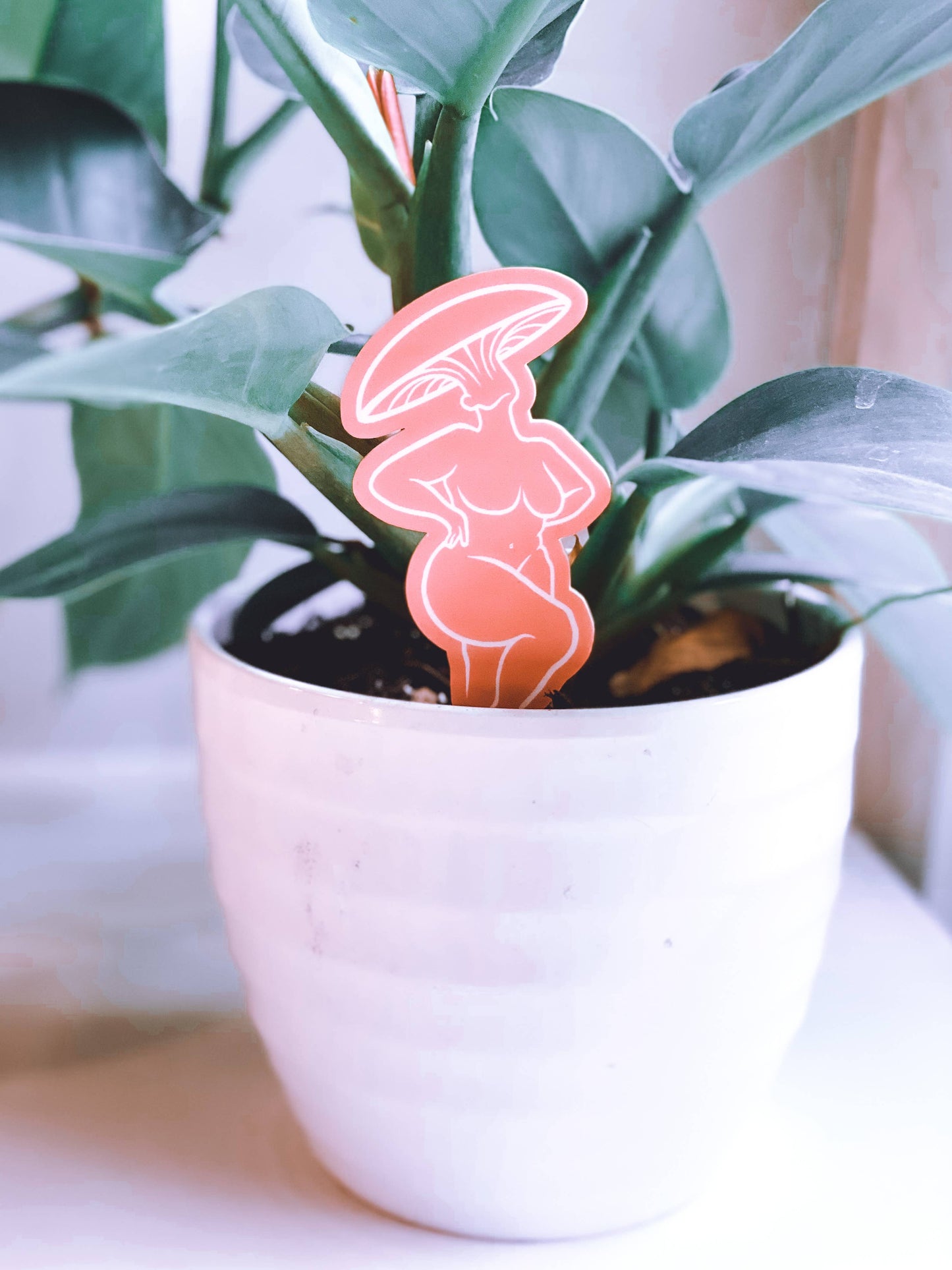 Mushroom Lady Plant Stakes