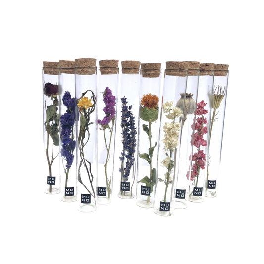 TUBE 20 CM WITH DRIED FLOWER
