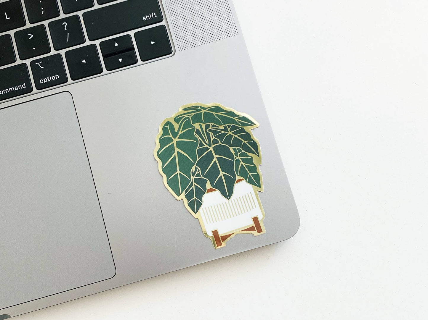 Alocasia Sticker