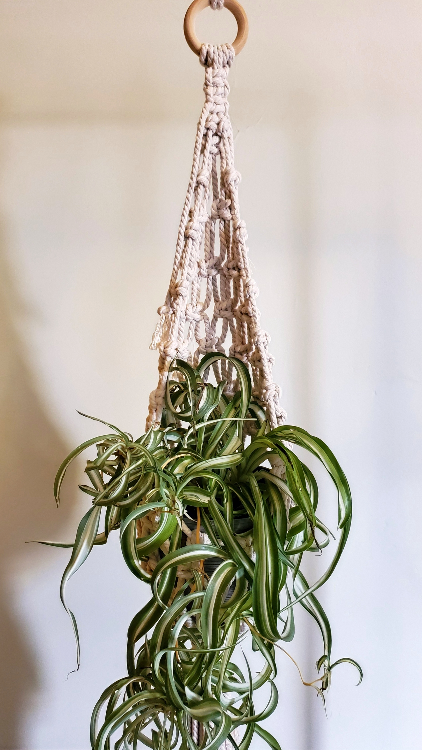 Large Macrame Plant Pot Hanger